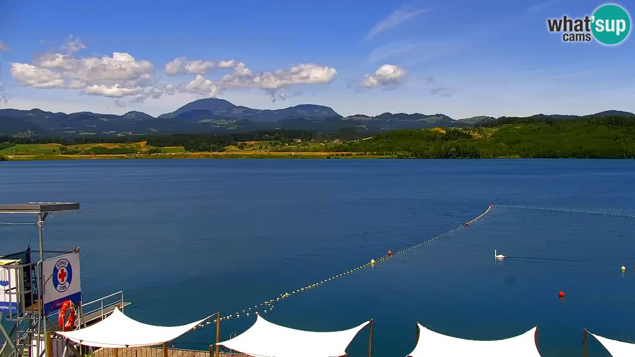 Webcam lago Velenje – Vista en directo desde Velenje Beach