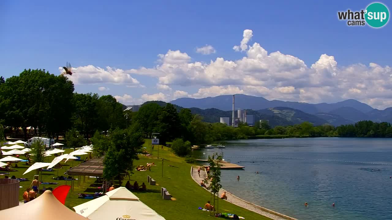 Webcam lago Velenje – Vista en directo desde Velenje Beach