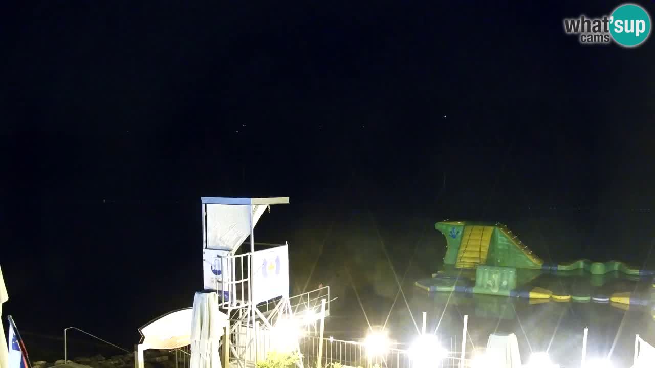 Velenje Lake Webcam – Live from Velenje Beach