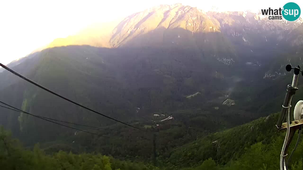 Live Kamera Velika Planina