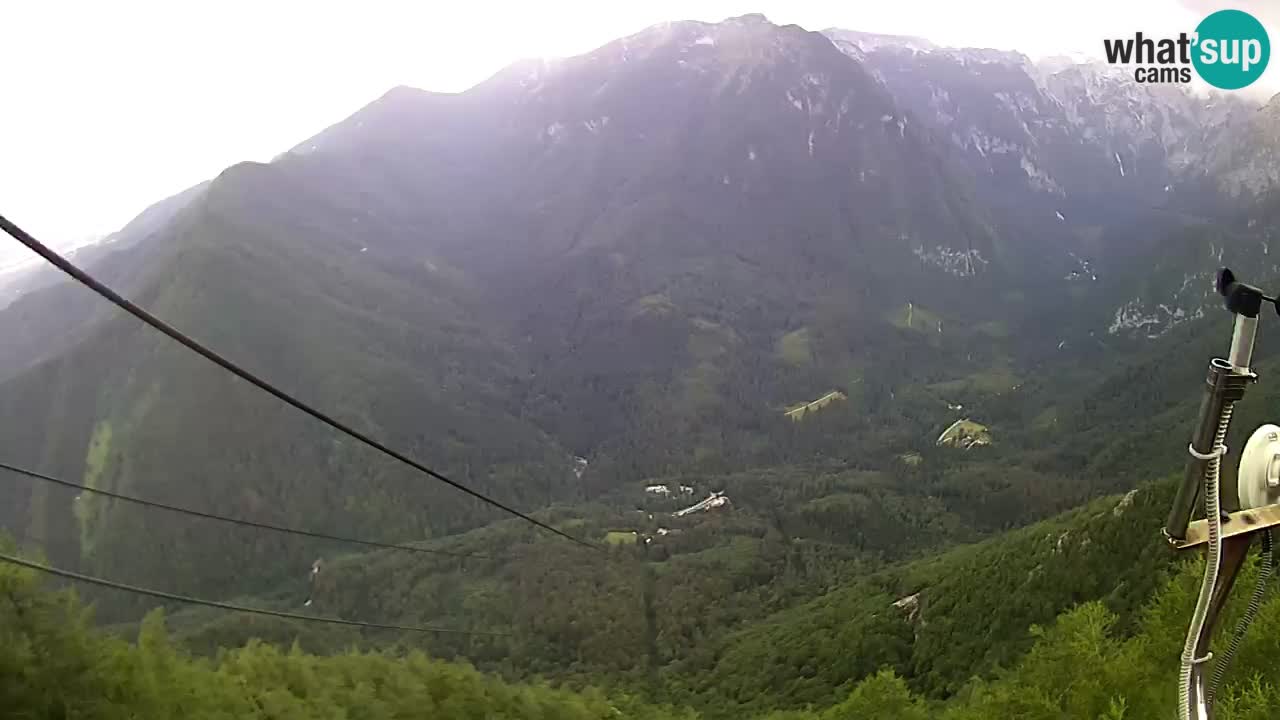 Live Kamera Velika Planina