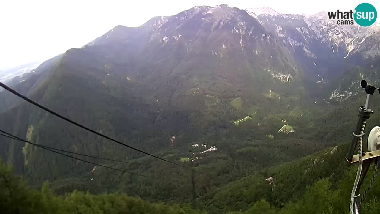 Kamera v živo Velika Planina