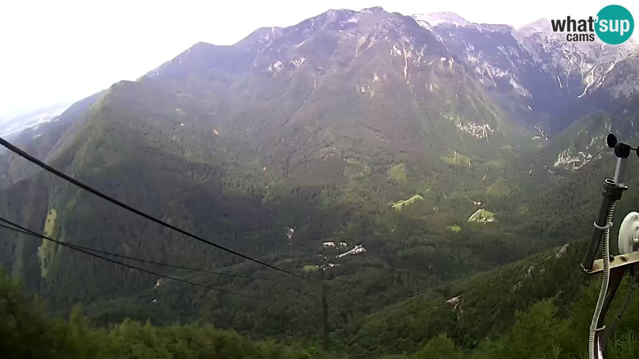 Kamera u Živo Velika Planina