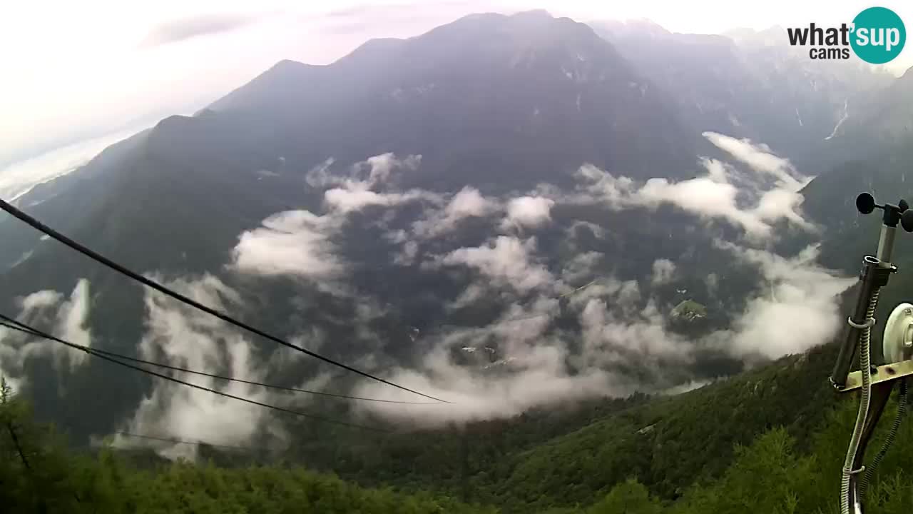 Kamera u Živo Velika Planina