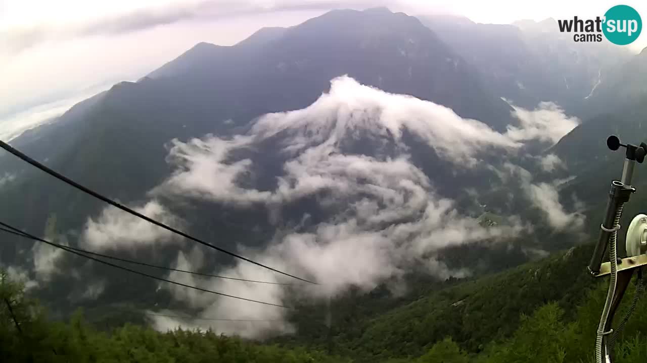 Live Kamera Velika Planina