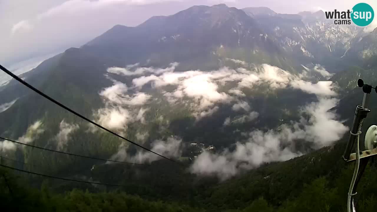 Kamera v živo Velika Planina