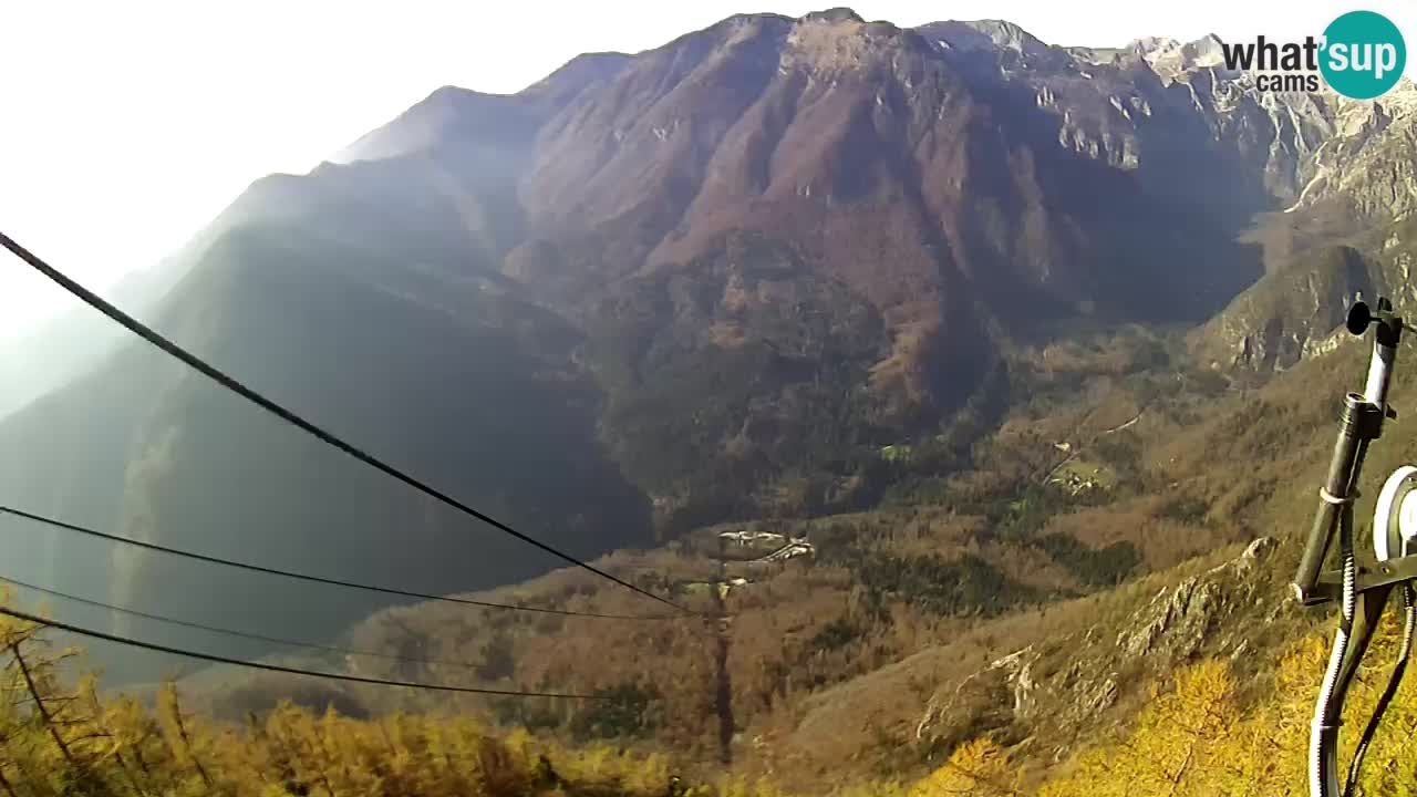 Kamera v živo Velika Planina