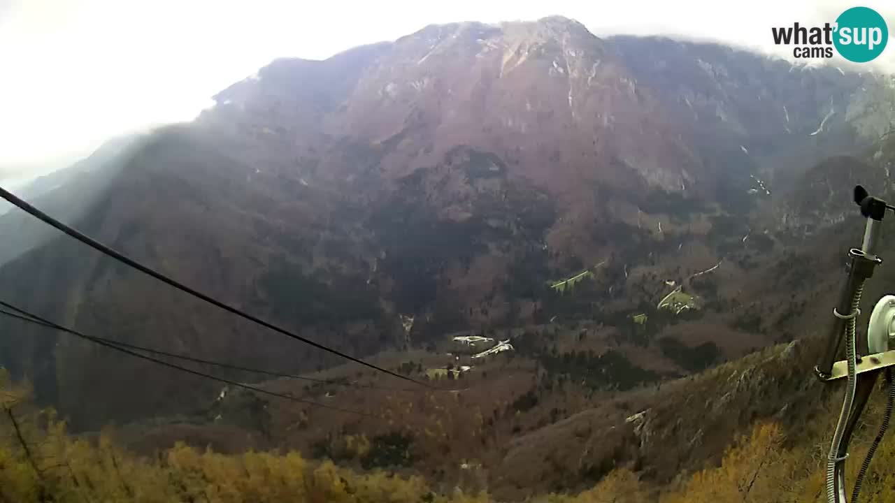 Kamera v živo Velika Planina