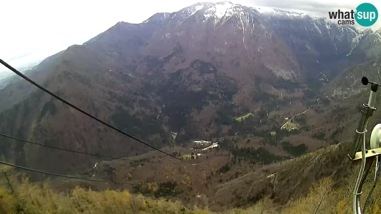 Velika Planina – Kamnik