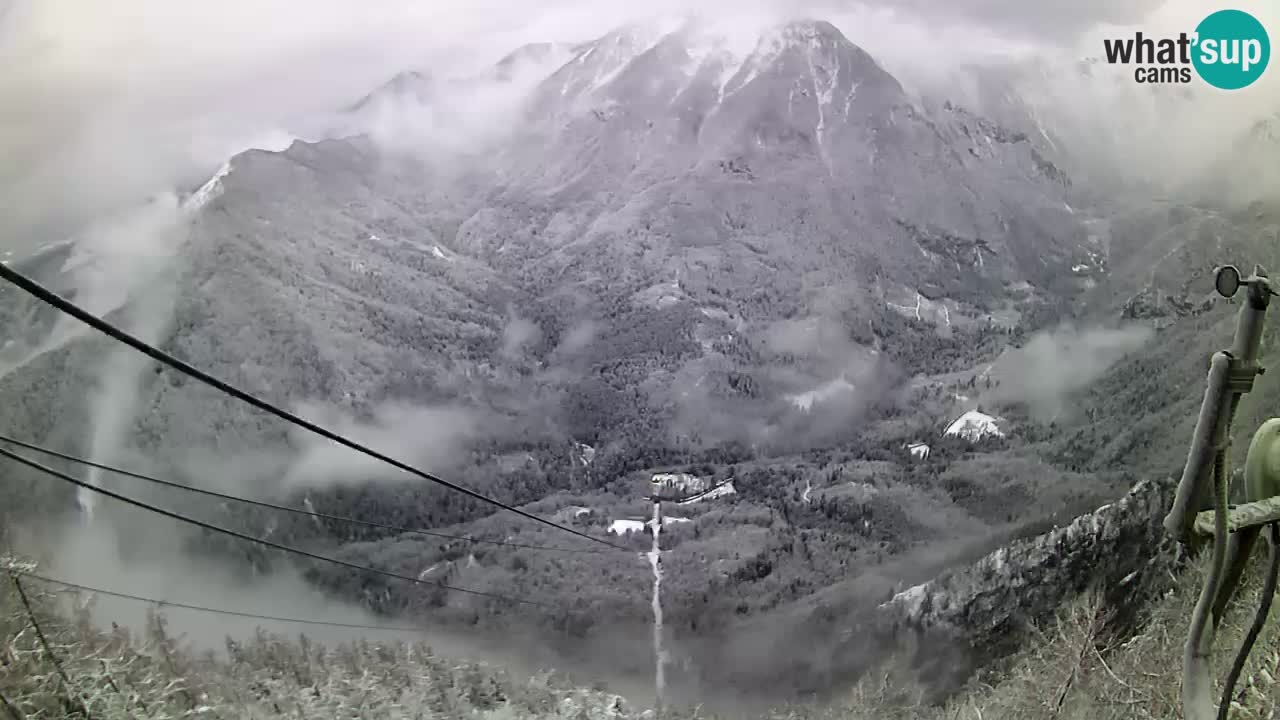 Kamera v živo Velika Planina