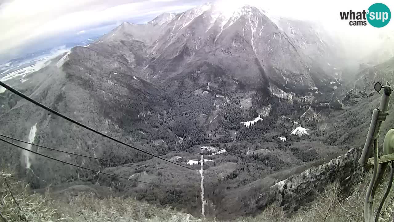 Live Kamera Velika Planina