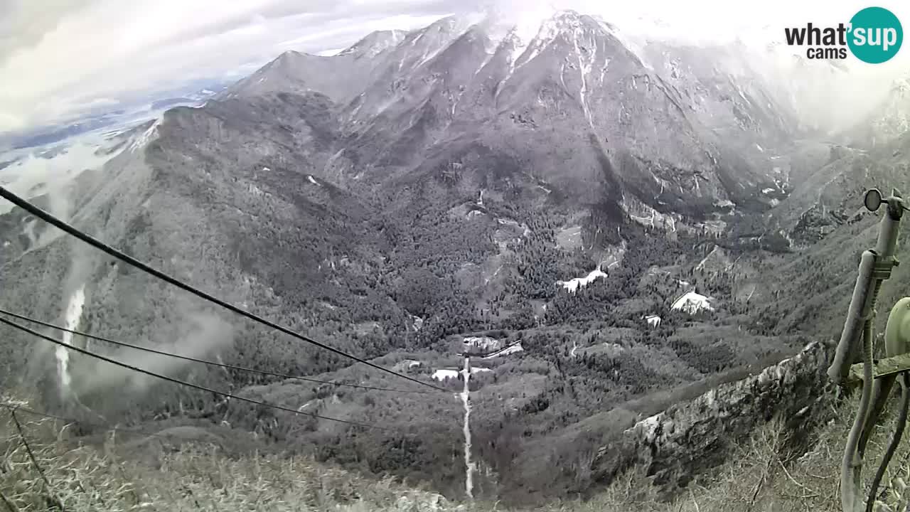 Kamera u Živo Velika Planina