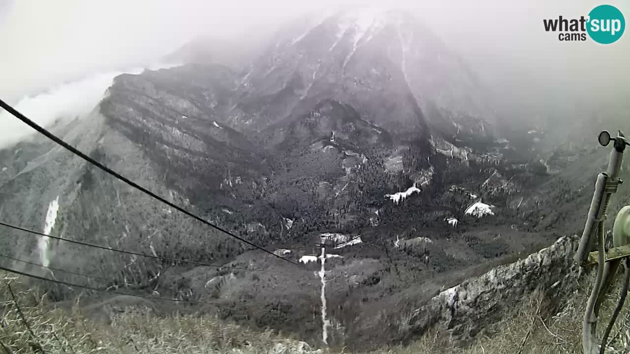 Kamera v živo Velika Planina