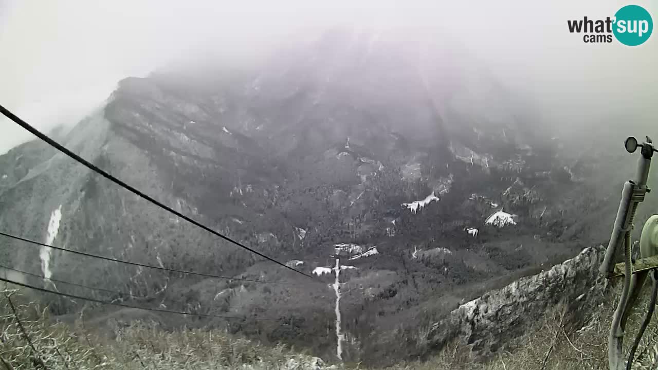 Live Kamera Velika Planina