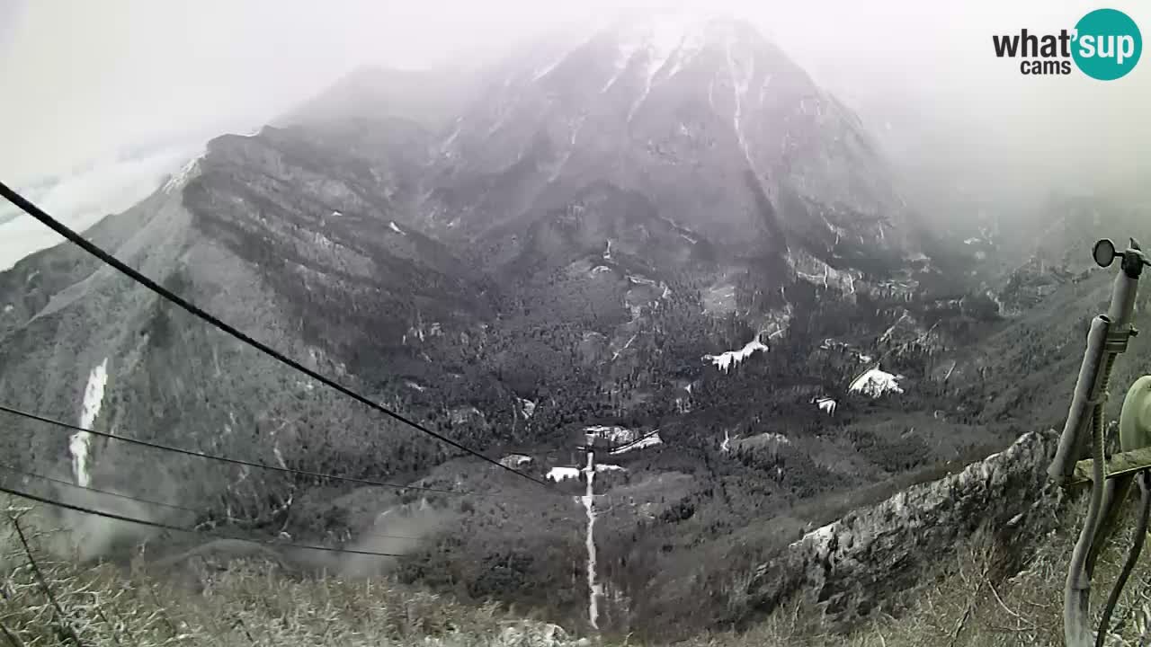 Kamera u Živo Velika Planina