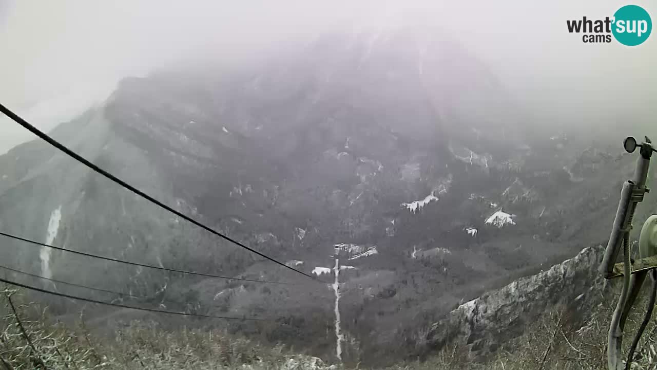 Kamera u Živo Velika Planina