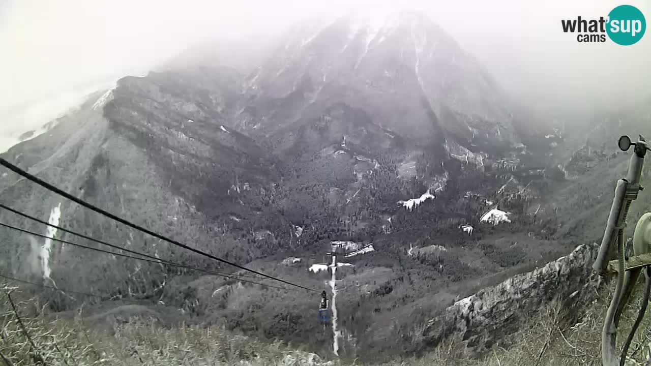 Kamera u Živo Velika Planina