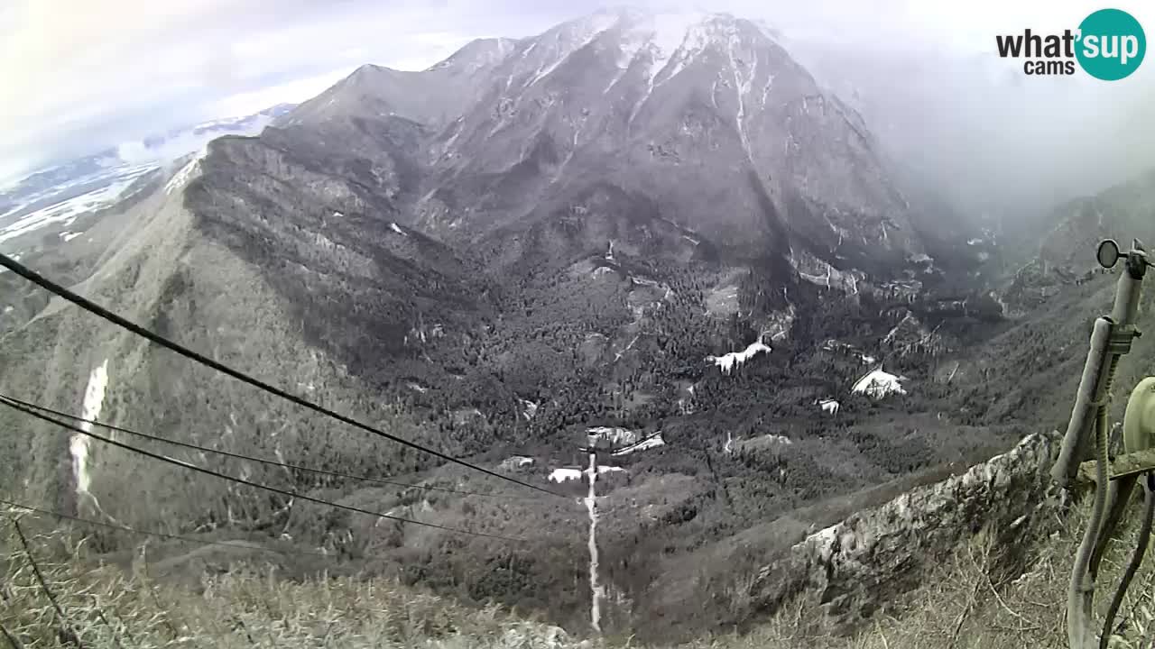 Kamera u Živo Velika Planina