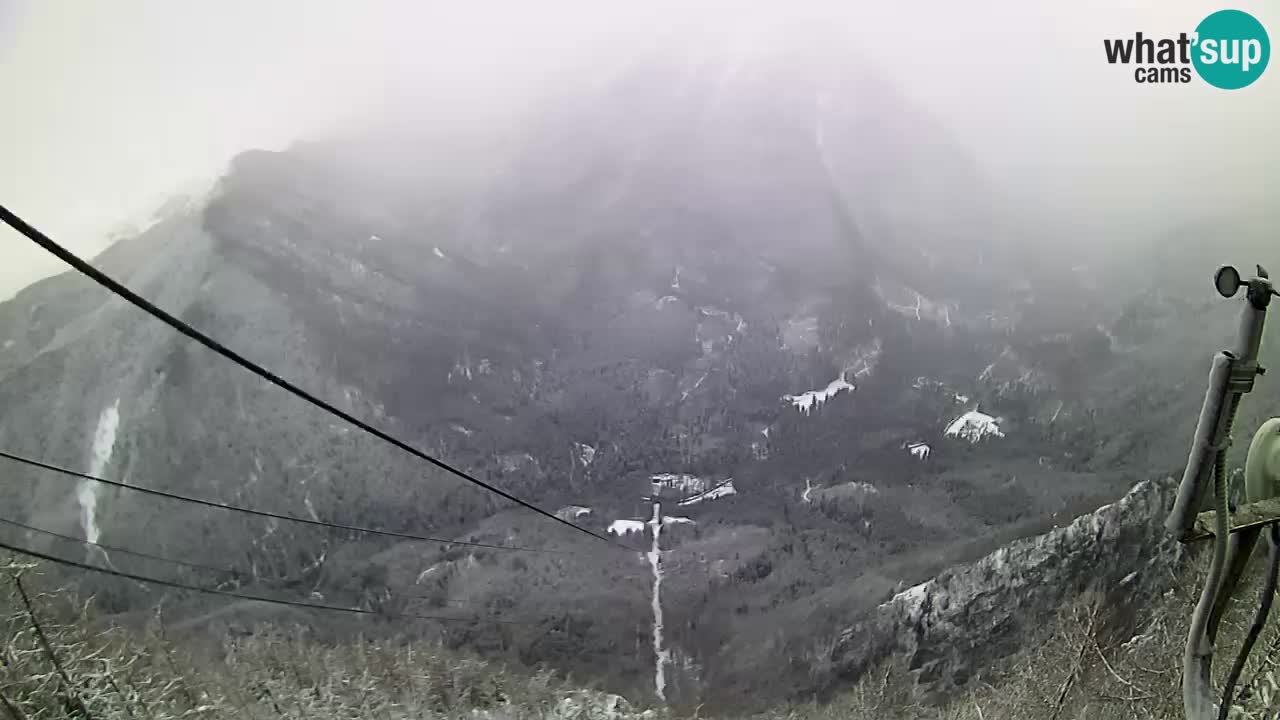 Kamera v živo Velika Planina