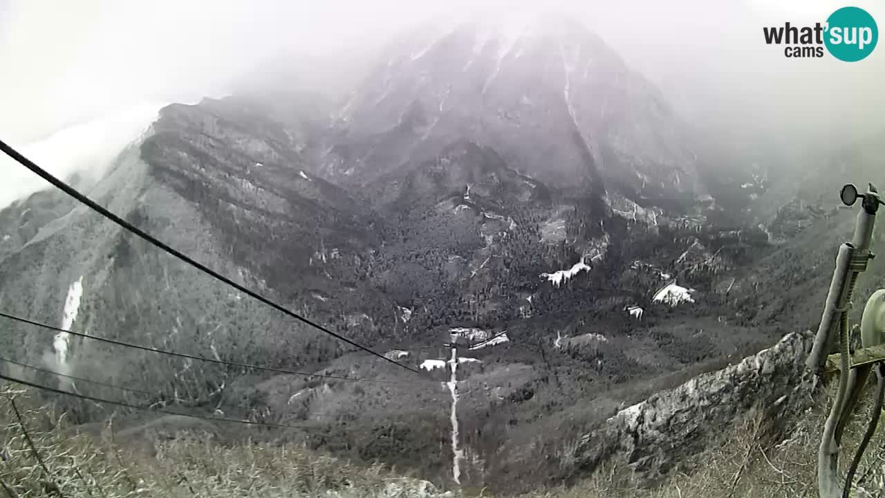 Kamera v živo Velika Planina