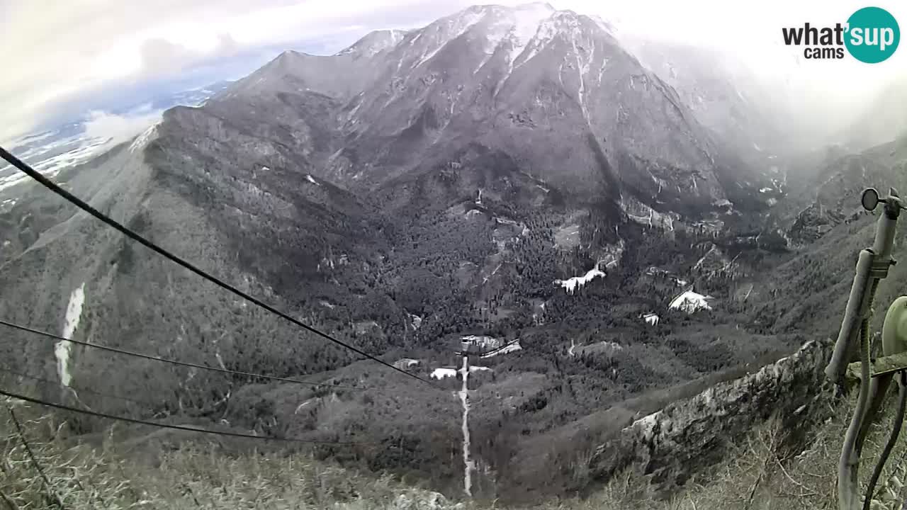 Live Kamera Velika Planina