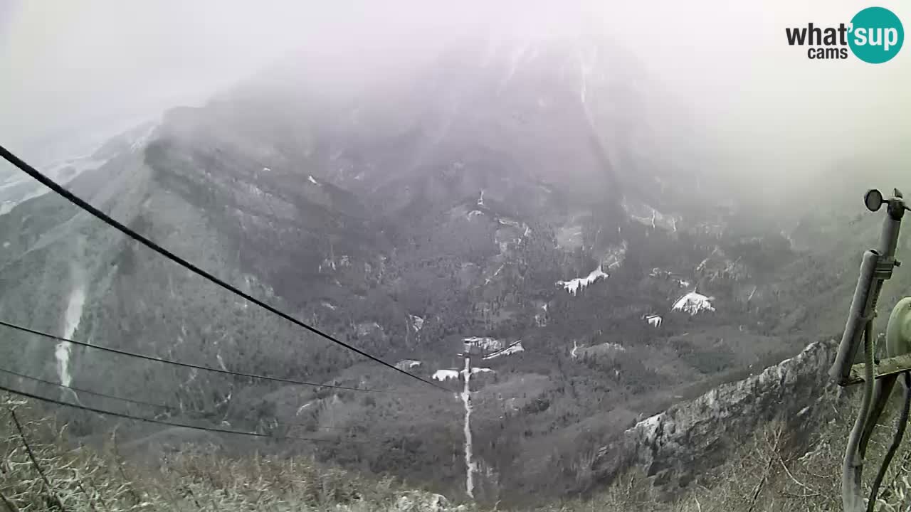 Kamera v živo Velika Planina