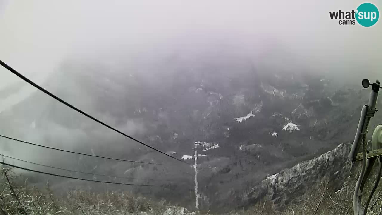 Live Kamera Velika Planina