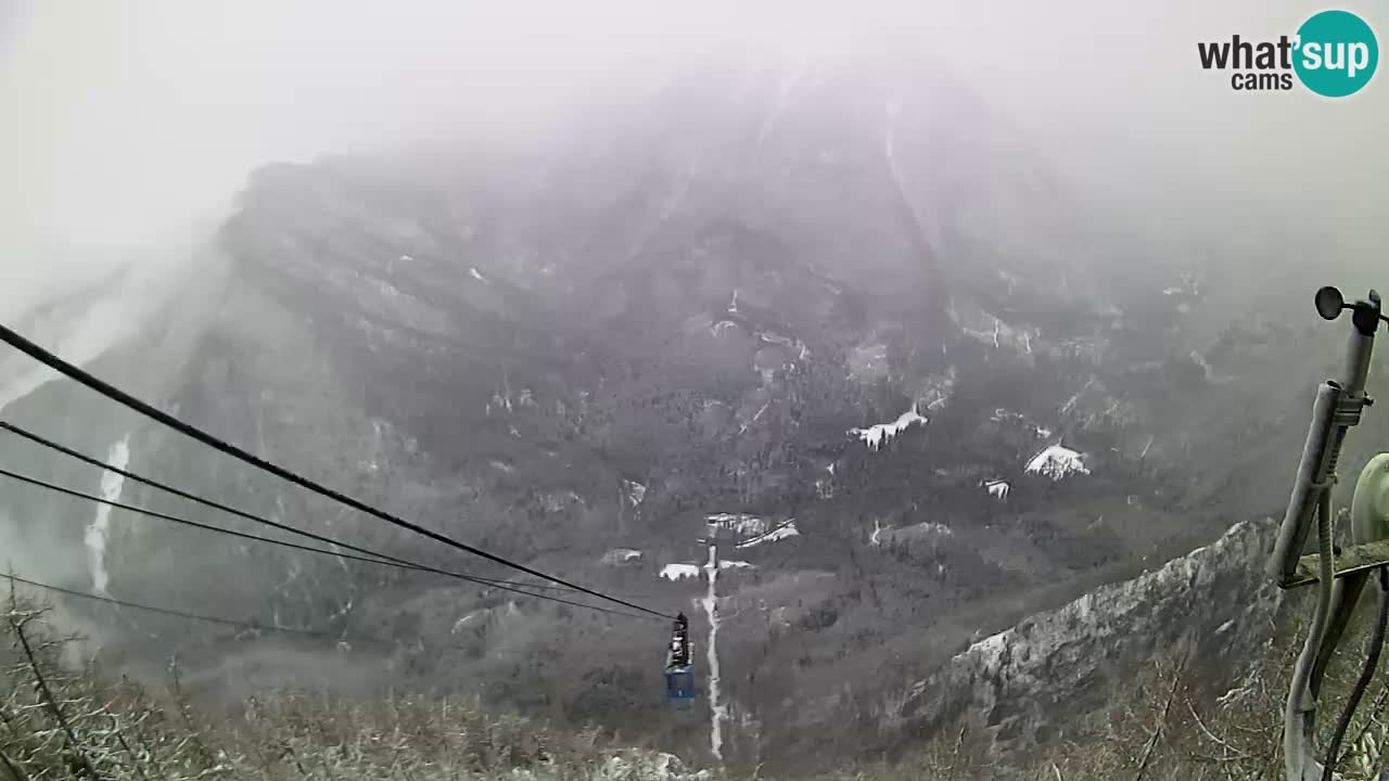 Live Kamera Velika Planina