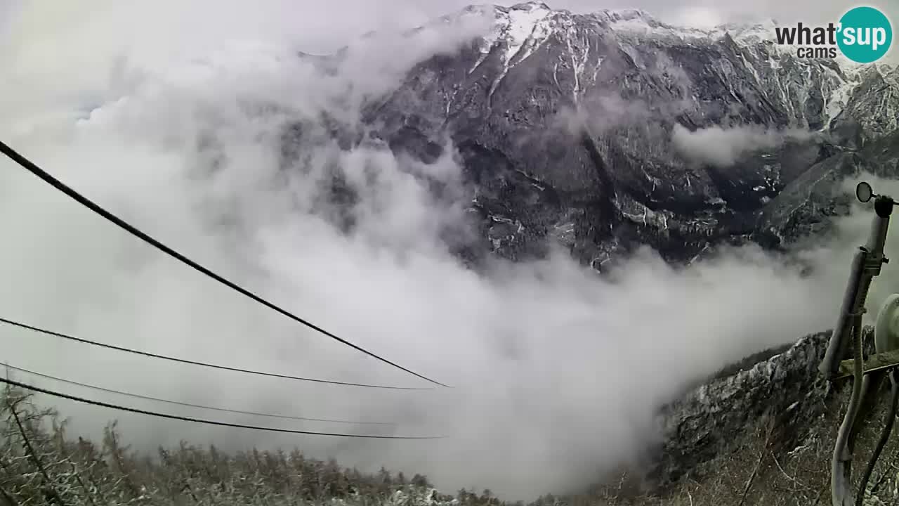 Live Kamera Velika Planina