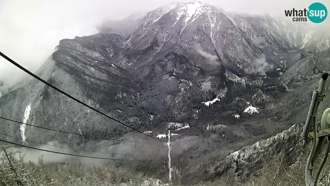 Kamera v živo Velika Planina