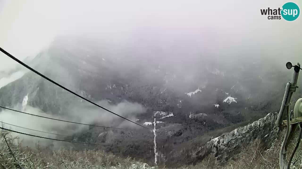 Kamera v živo Velika Planina