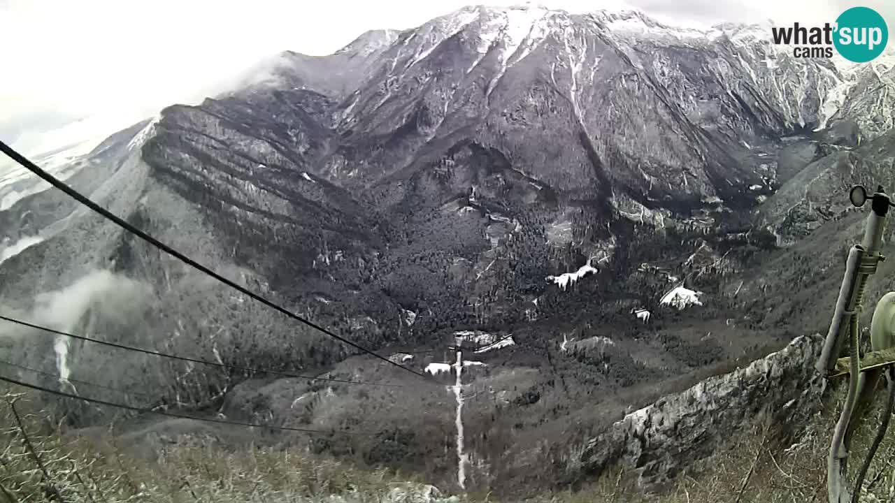 Live Kamera Velika Planina