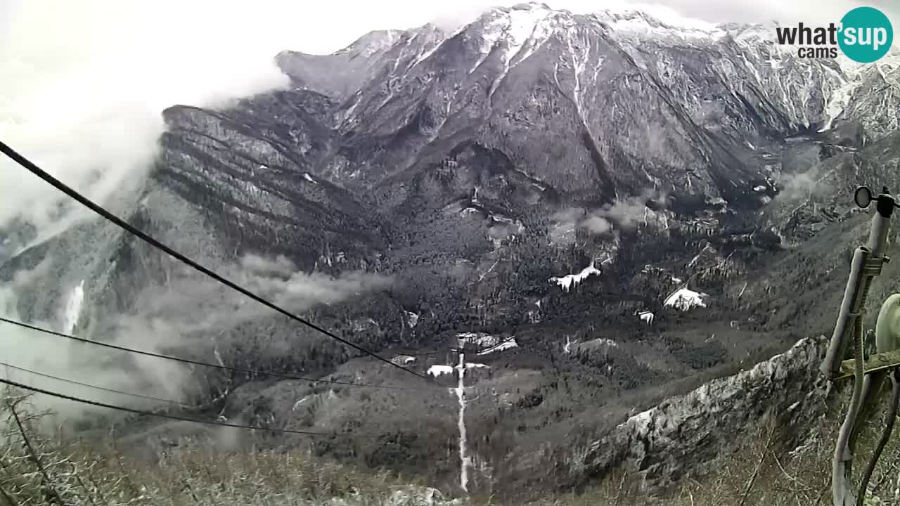 Live Kamera Velika Planina