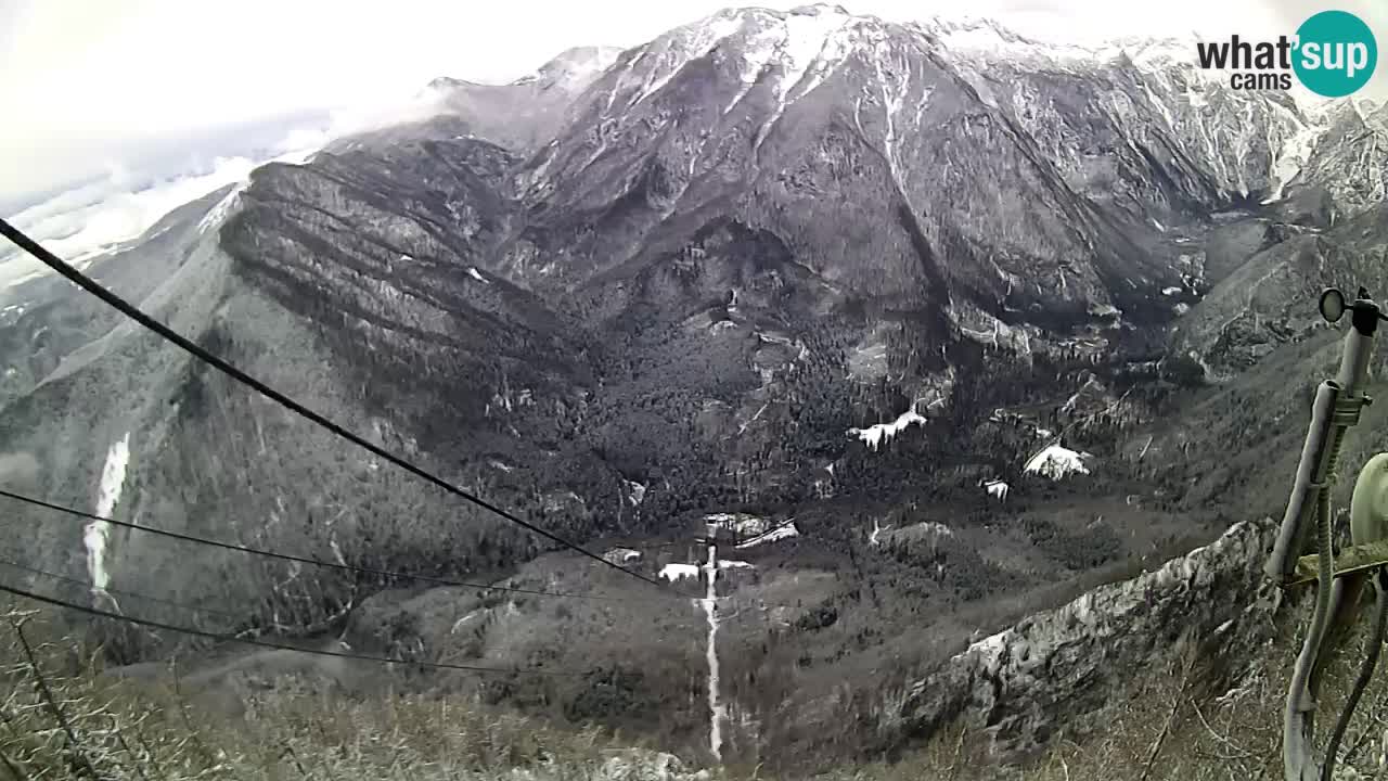 Live Kamera Velika Planina