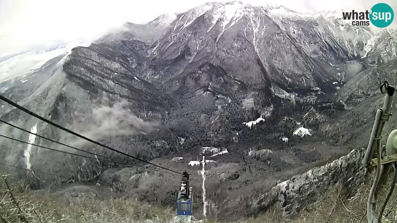 Live Kamera Velika Planina