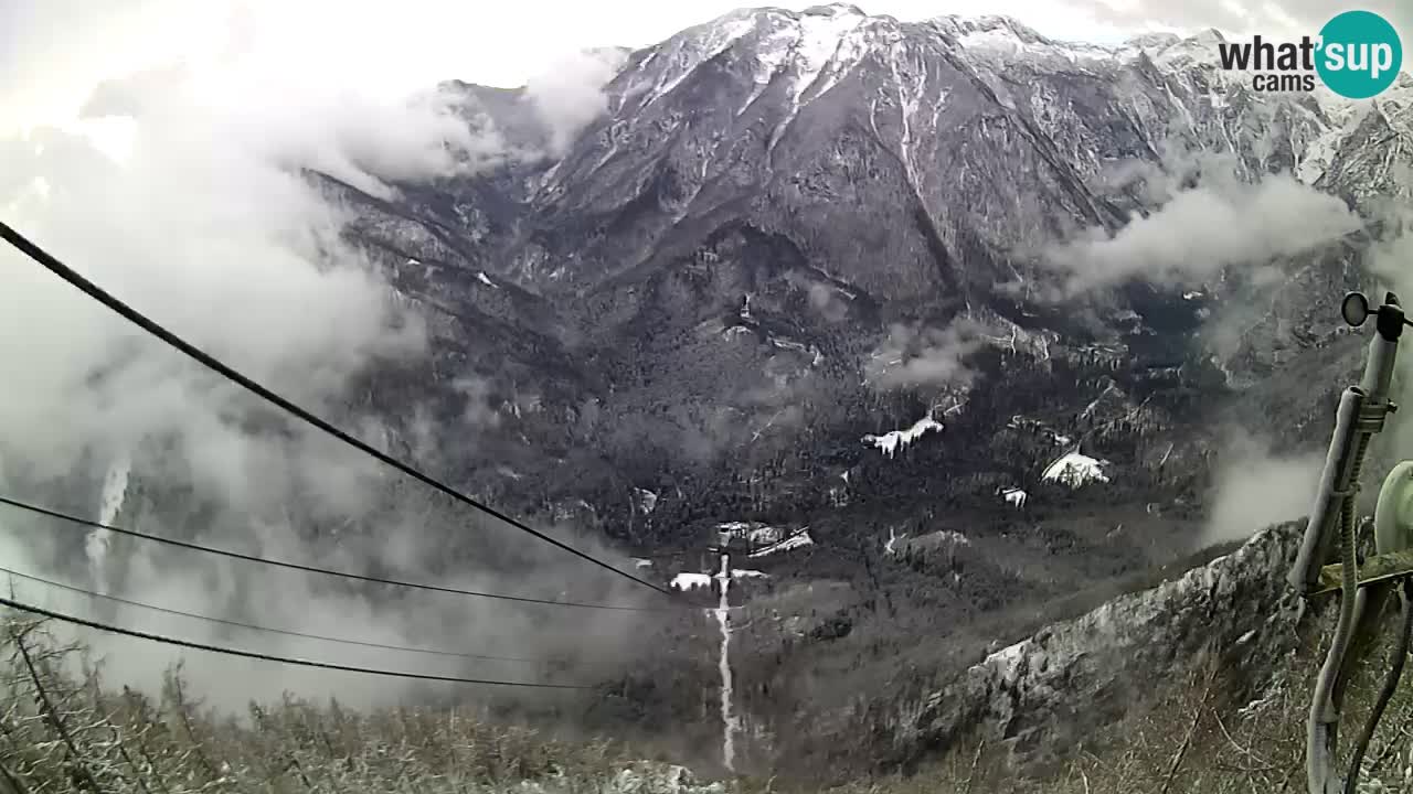 Kamera v živo Velika Planina