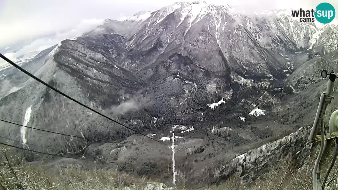 Kamera v živo Velika Planina