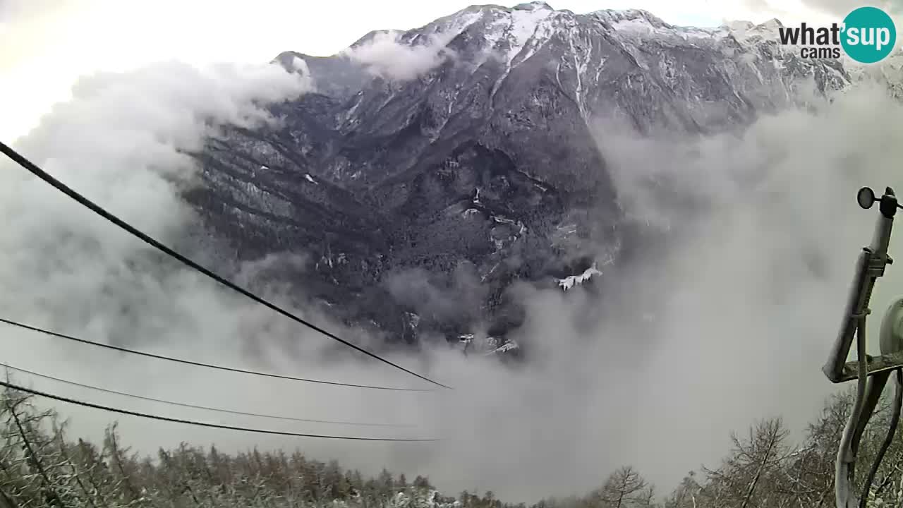 Kamera v živo Velika Planina