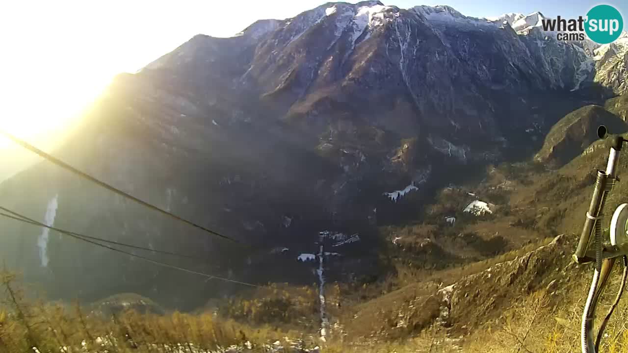 Kamera v živo Velika Planina