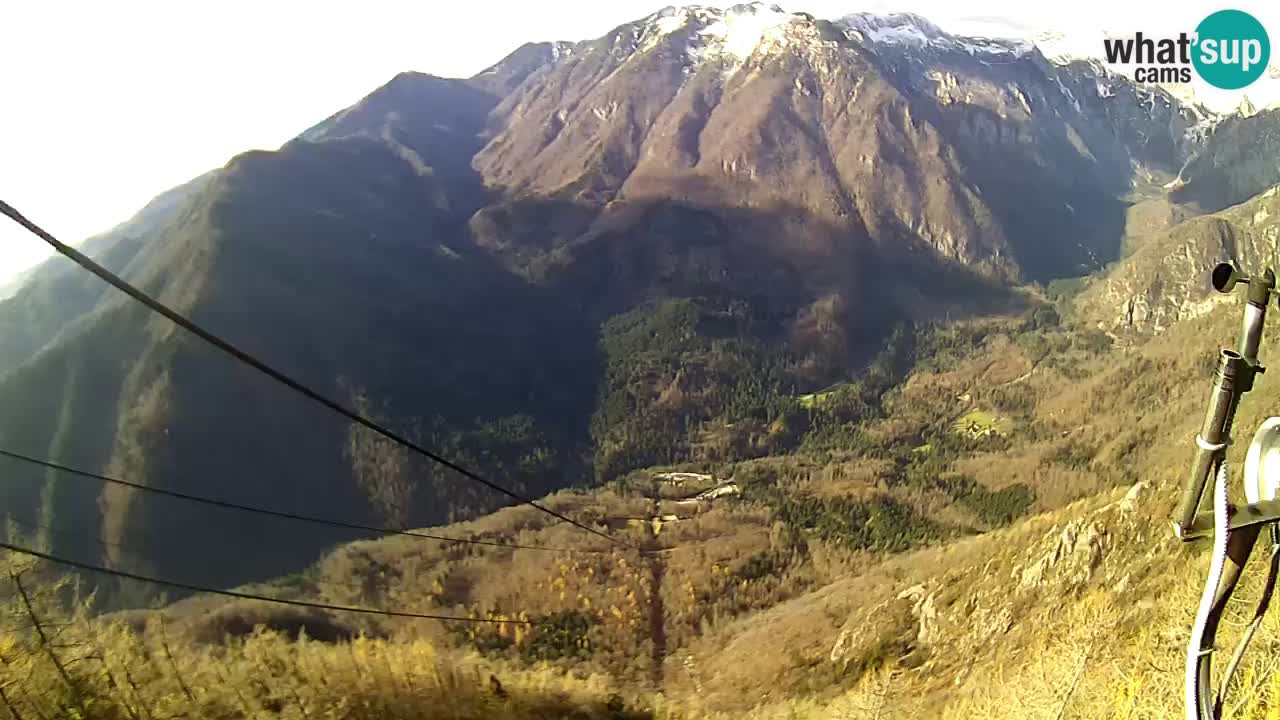 Kamera u Živo Velika Planina