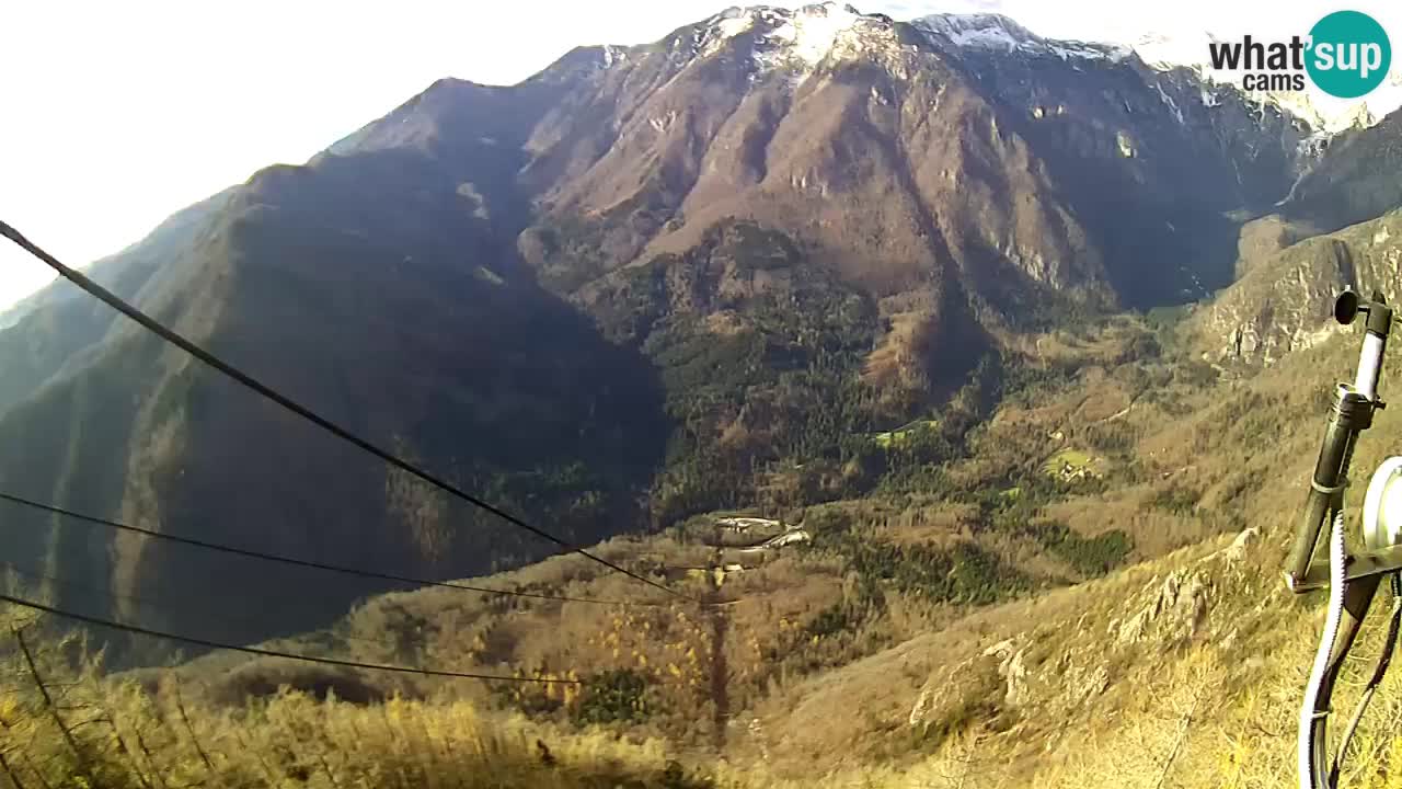 Kamera v živo Velika Planina