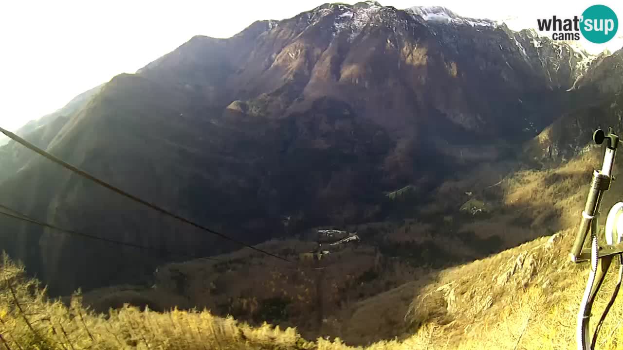 Kamera u Živo Velika Planina