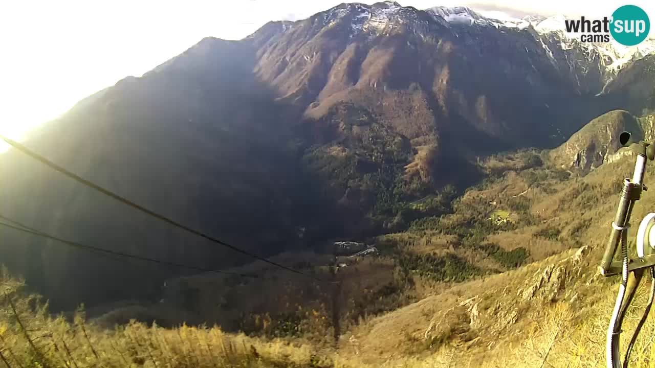 Kamera u Živo Velika Planina