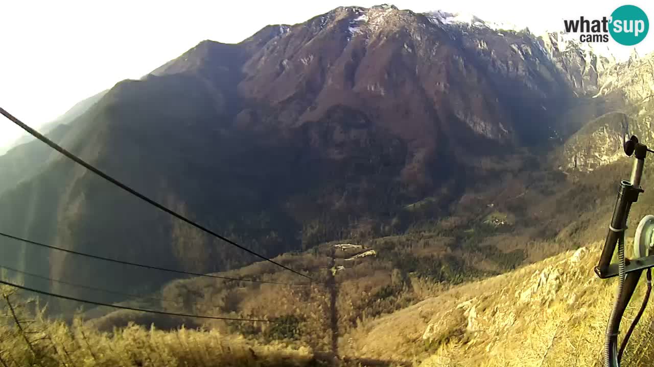 Live Kamera Velika Planina