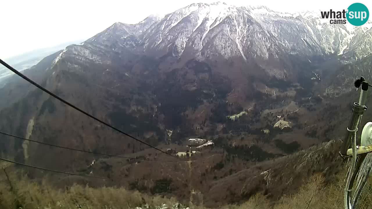 Kamera u Živo Velika Planina