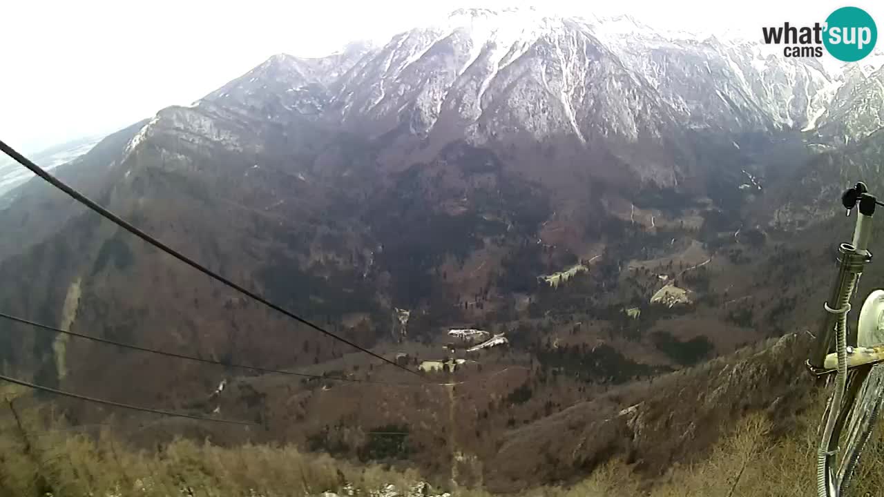 Kamera u Živo Velika Planina