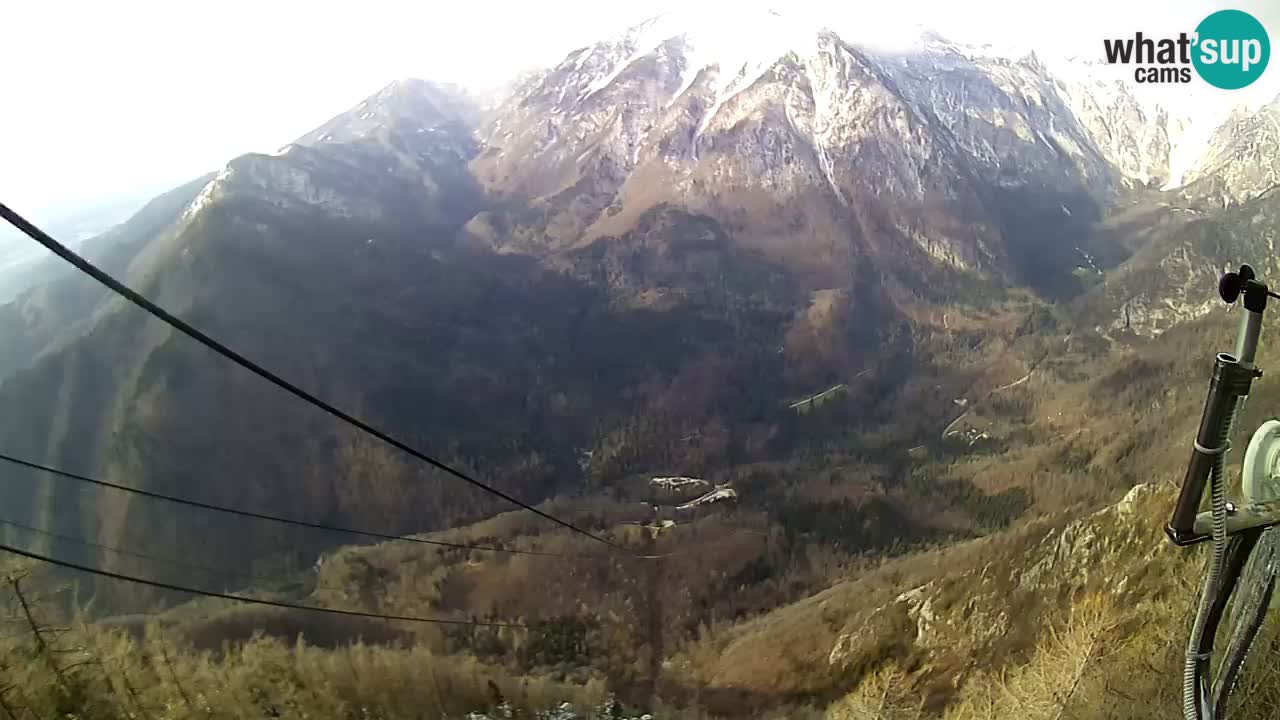 Live Kamera Velika Planina