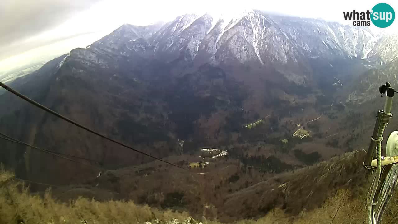 Kamera u Živo Velika Planina