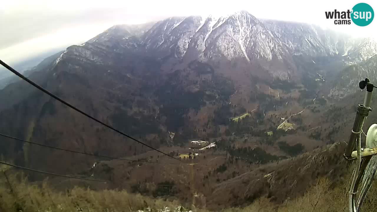 Kamera u Živo Velika Planina