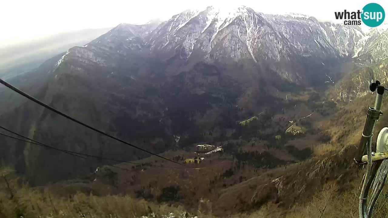 Kamera u Živo Velika Planina